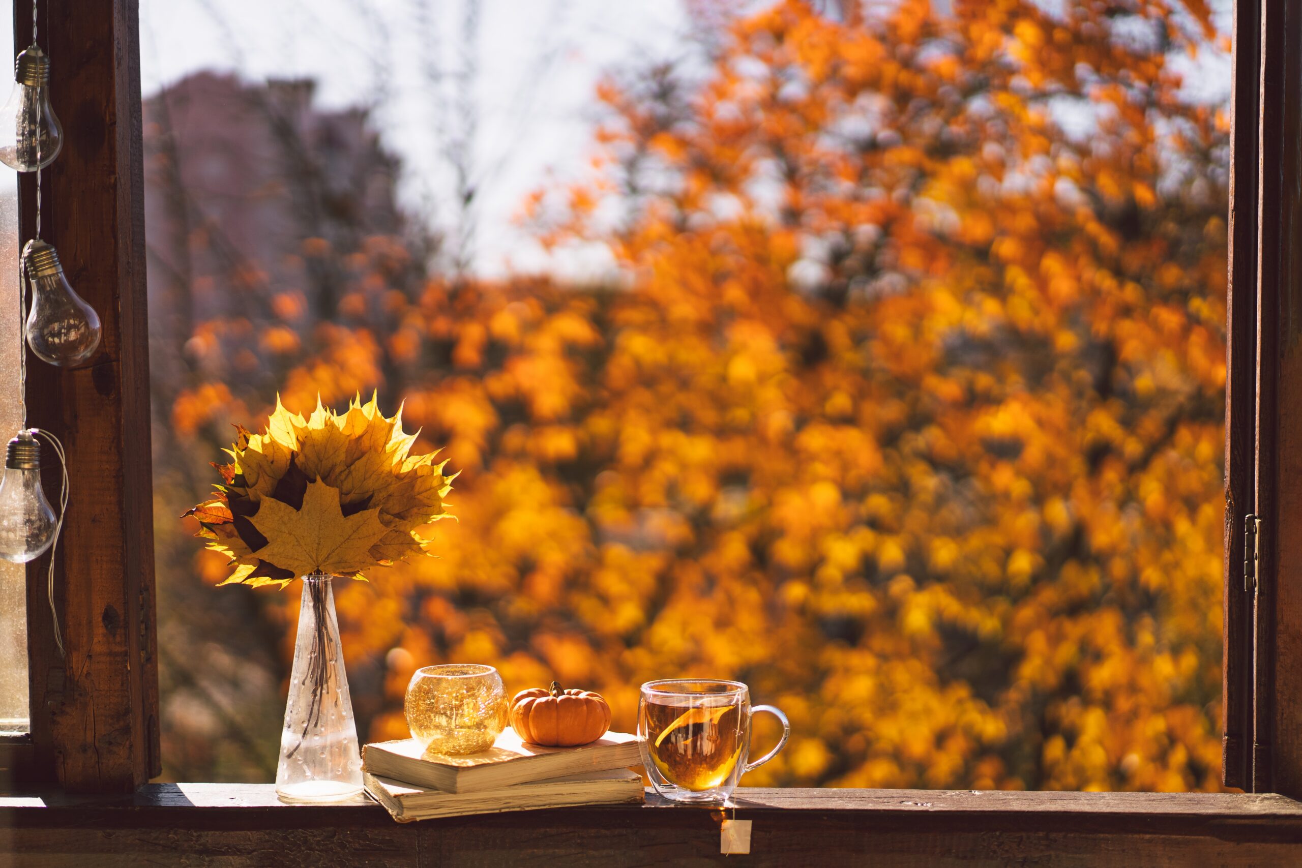 Energy-efficient residential window replacement on a Durango home with fall foliage in the background.