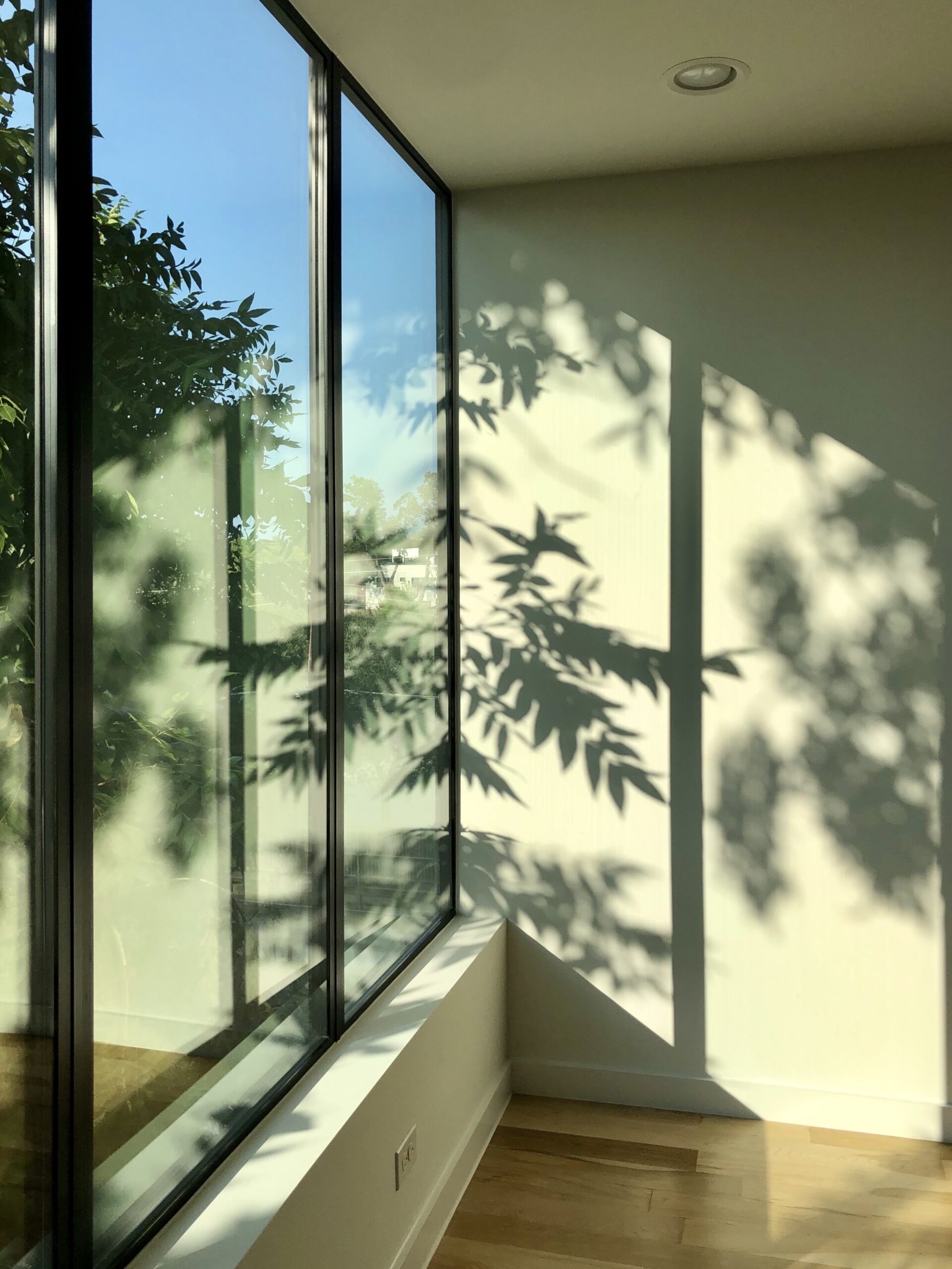 Modern home exterior featuring energy-efficient glass and window replacement.
